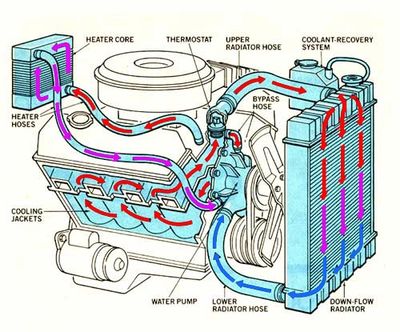 Engine Coolant Hose - Expansion Tank (Lower) To Water Pump