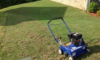 Lawn dethatching London Ontario