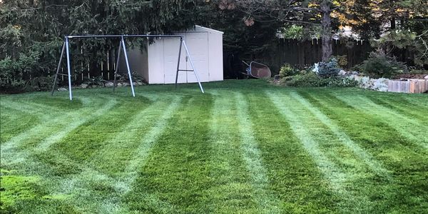 Lawn strips