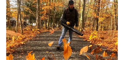 Landscape maintenance London Ontario