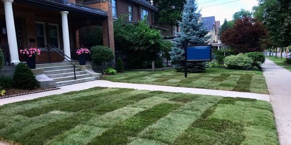 Sod Installation London Ontario, Ilderton Ontario, Lucan Ontario, Birr Ontario