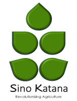 Sino Katana Webpage