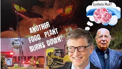 Are Bill Gates and the Great Reset sociopath's trying to take over our food supply? 