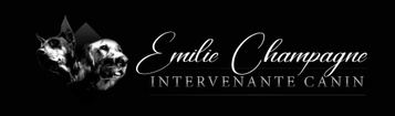 Emilie Champagne Intervenante Canin