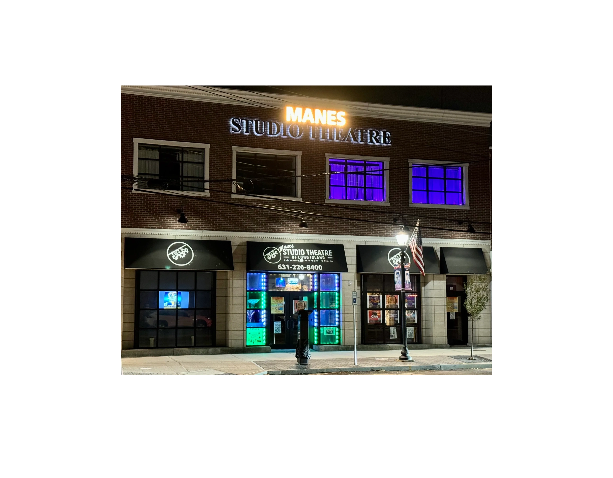 Christmas Show Frozen Jr