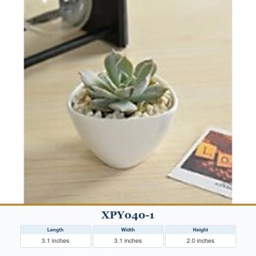 Small succulent plant in a white triangular pot on a wooden surface.