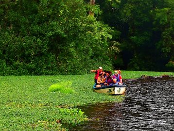 Electric Canoe Tour, Canoe Tour