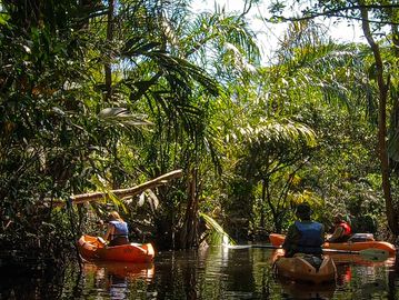 Kayak Tour