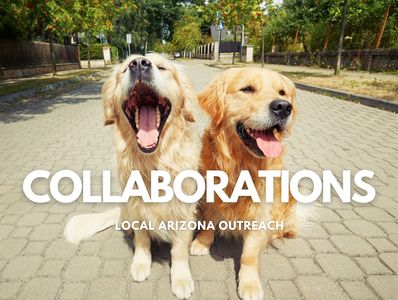 Pawsitive Experts Collaborations Banner Image 2024