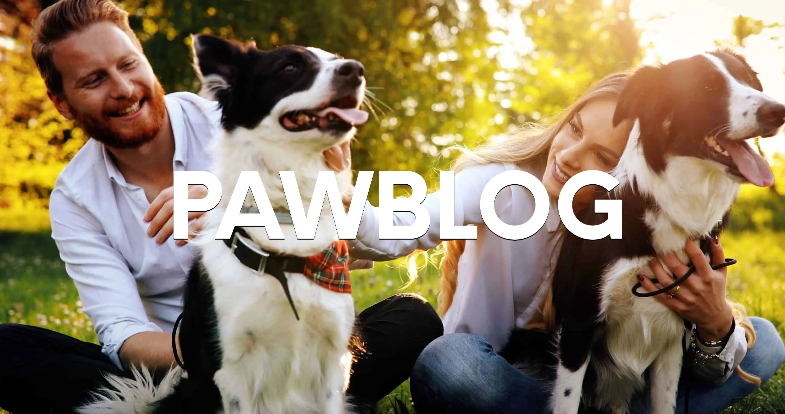 Pawsitive Experts PAWBLOG logo (2024)