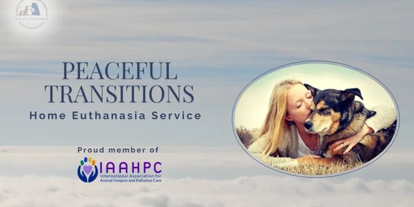 Dr. Lynda Loudon provides In home Euthanasia service at home on Long Island 