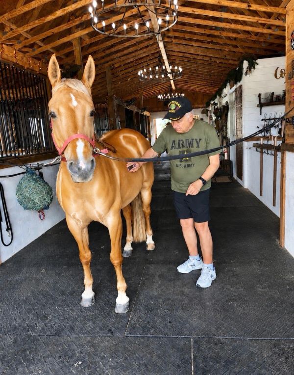 Man grooming horse in a wooden stable.