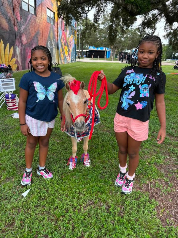 Two girls posing with a small horse in a park.