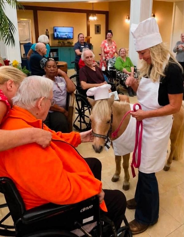 Mini horse dressed as a chef interacting with elderly in a care home.