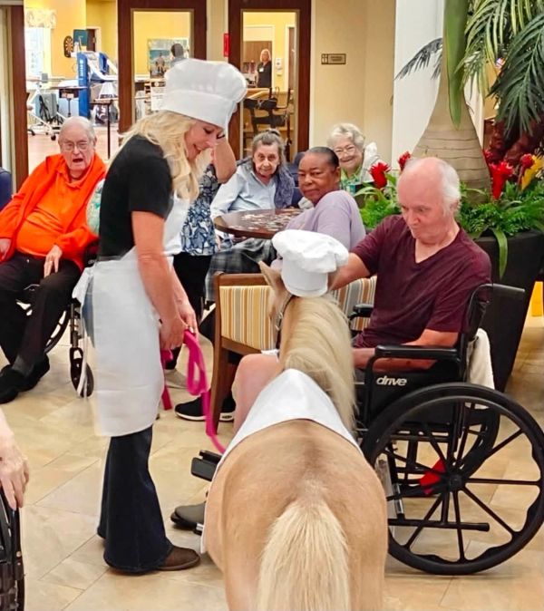 Miniature horse wearing a chef hat visits nursing home residents.