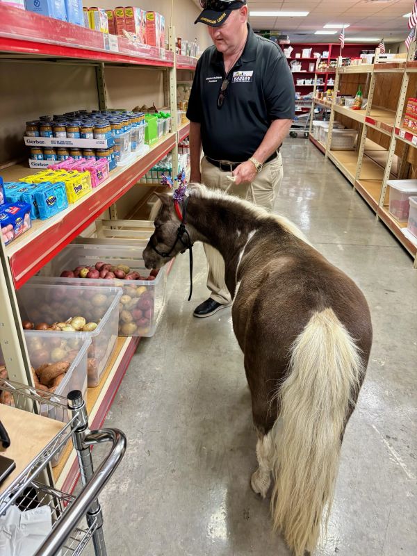 Man with a small horse in a store aisle.