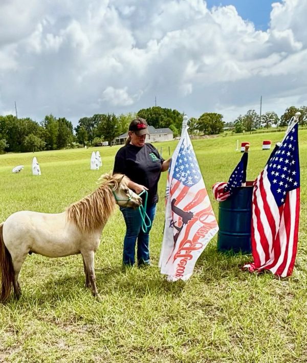 Woman holding a flag with a miniature horse in a field.