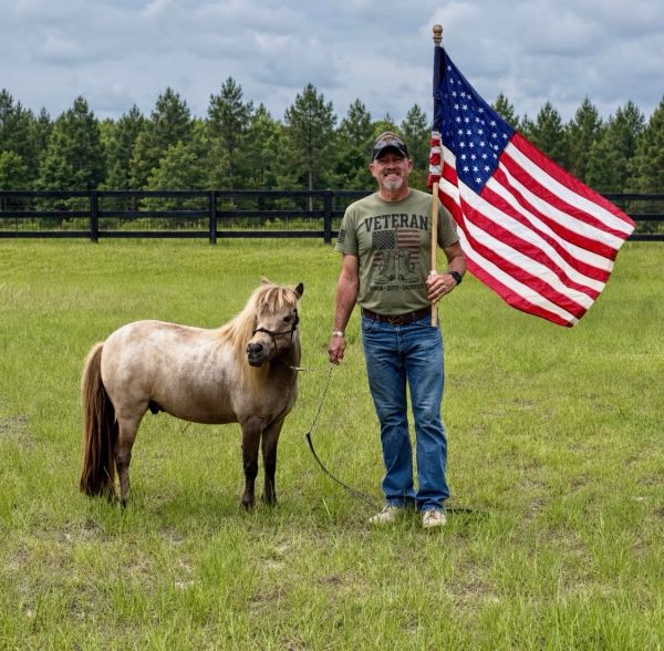 Man holding an American flag and a small horse in a field.
