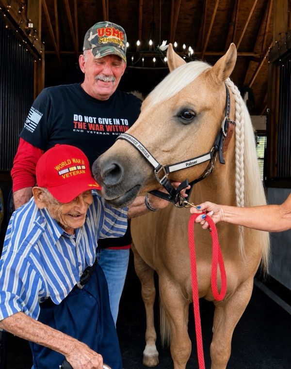 Two veterans with a horse inside a stable.