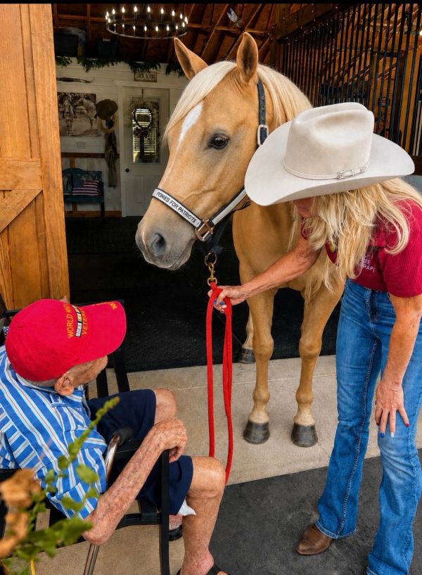 Veteran meeting a horse with a handler indoors.