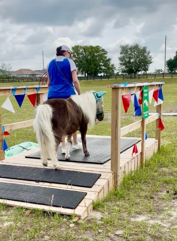 A person leads a miniature horse on a decorated ramp outdoors.