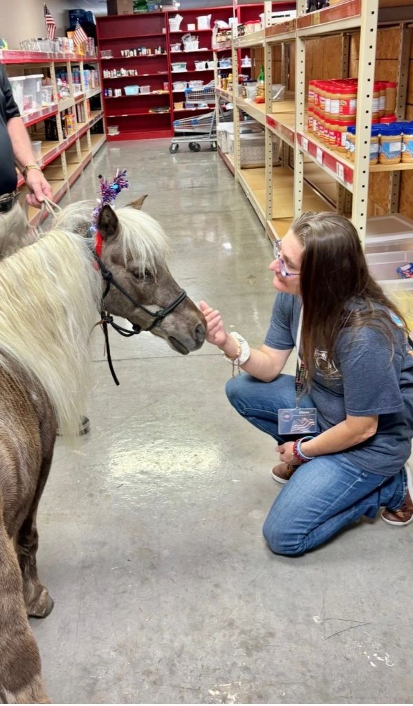 Woman interacting with a miniature horse in a store aisle.