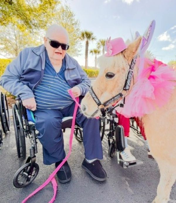 Elderly man in wheelchair with a decorated pony.