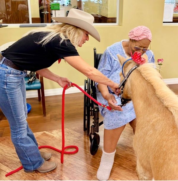 Woman introduces a small horse to a wheelchair-bound elderly person.