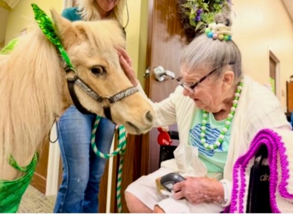 Elderly woman petting a small horse indoors.