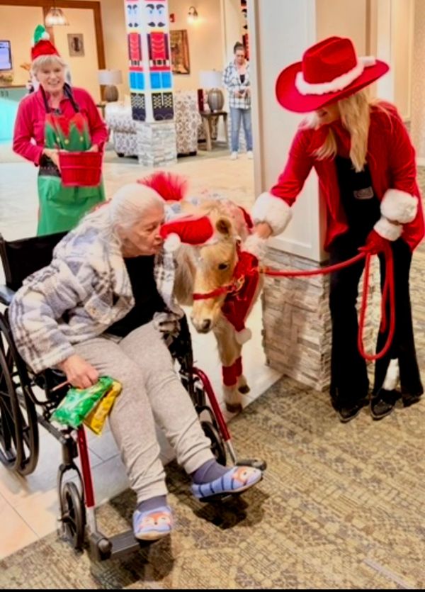 Elderly woman in wheelchair kissing a mini horse dressed in Christmas attire.