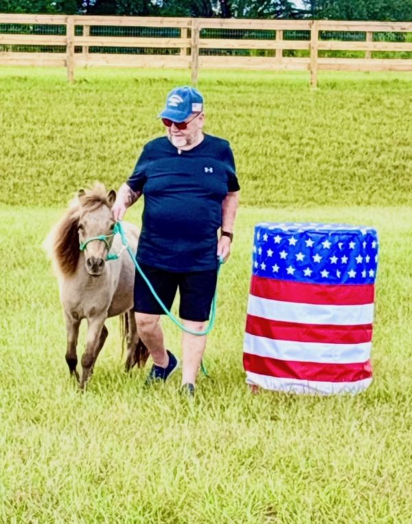Man walking a small horse past a patriotic barrel.