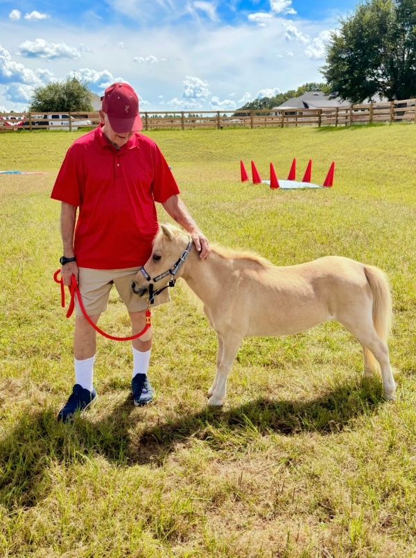 Man in red shirt with a small horse in a field.