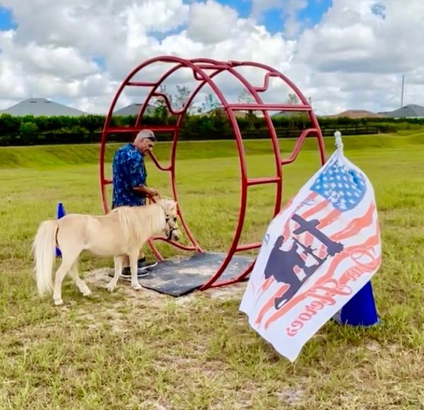 Man with a small horse near a red metal structure in a field.