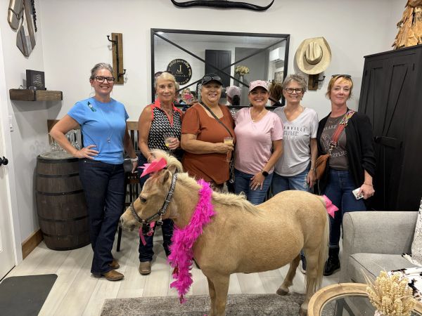 Group of women posing with a small horse indoors.