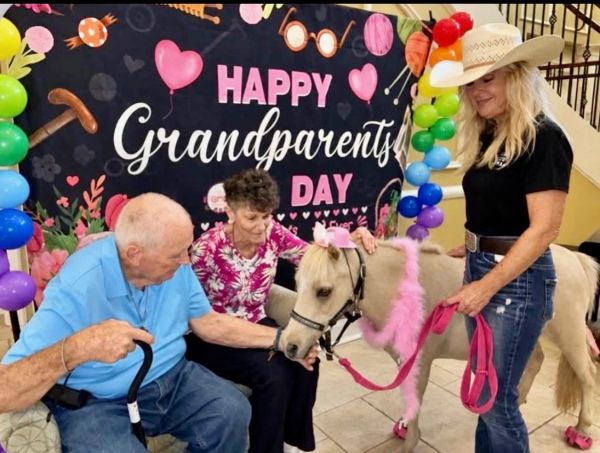 Grandparents petting a small decorated horse on Grandparents Day.