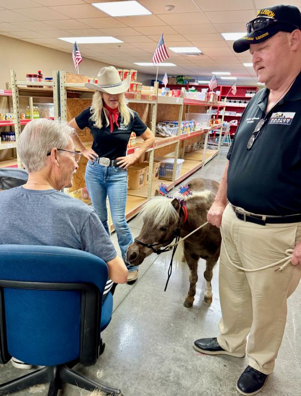 Man interacts with a small decorated pony indoors.