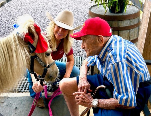 Elderly man and woman with a pony.