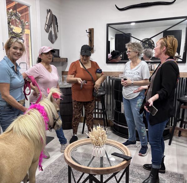 A group of five women and a small horse indoors.