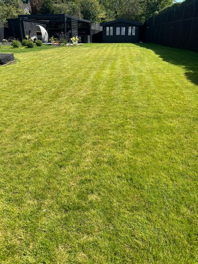 Lawn looking good following lawn care treatment