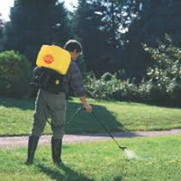 Lawn treatment through knapsack sprayer