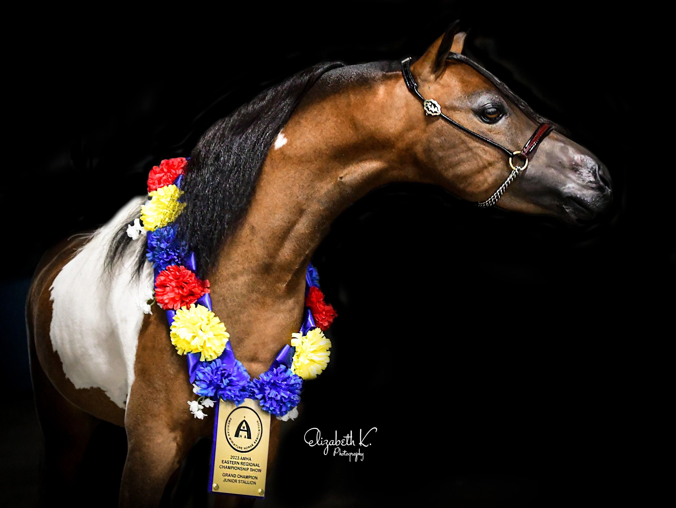 NMotion He Roxx On Water -2023 National Champion, 2023 World Grand Champion, 2023 Regional Grand Ch