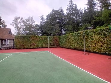 Empty tennis court with tall green hedge and wooden cabin nearby.