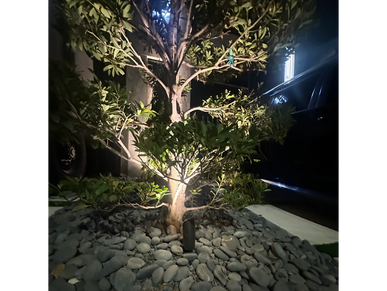 Elevate Your Exterior

