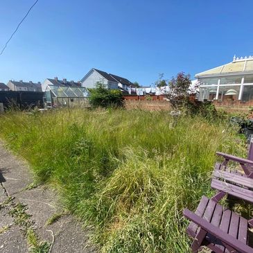 Overgrown backyard garden with tall grass, purple chairs, and a greenhouse under a clear blue sky.