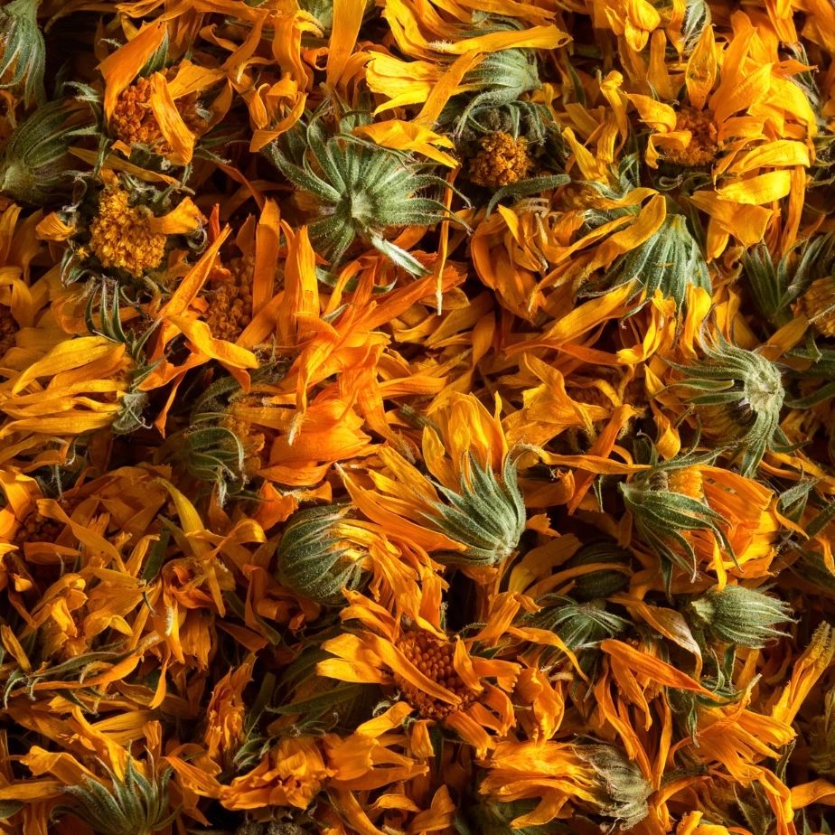 DRIED Calendula flowers 100g - Perfectstopover Collections