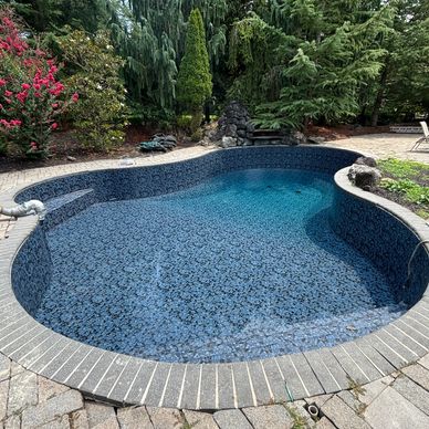 Empty swimming pool surrounded by trees and flowers.