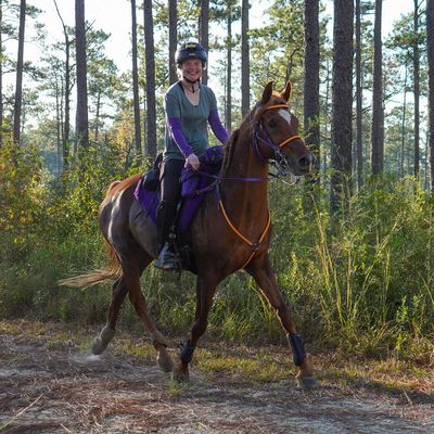 Smiling woman rides a horse through a sunlit forest trail.