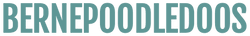 BernePoodleDoos
