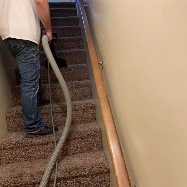 Aaligiant carpet cleaning carpet on stairs