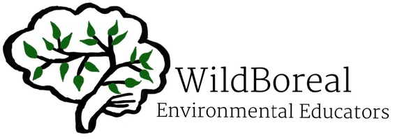 WildBoreal Environmental Educators